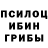 Псилоцибиновые грибы Cubensis Pro100 Vovka